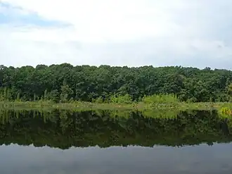 Lago Negro en la Selva Negra, el único lago prehistórico del país, cerca de la ciudad de Známyanka
