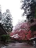 Chūson-ji en invierno.