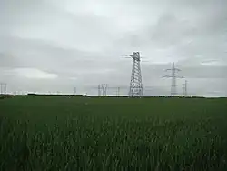 Postes eléctricos sobre campos de trigo