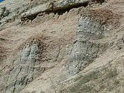 Vista en primer plano de los Cortados de Peñalba