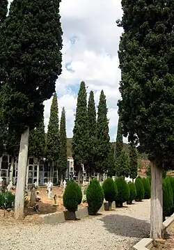 Vista interior del cementerio municipal de Torrebaja, con detalle de cipreses y señalizaciones en tierra (2009).