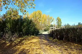 Vista parcial del «Molino de Abajo», Viejo o del Señor, Torrebaja (Valencia), desde el «Puente de Guerrero» sobre el Turia.