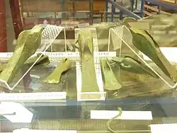 Hachas de aletas halladas en el yacimiento de Kergadavarn en Plouguerneau (Musée de la préhistoire finistérienne de Penmarc'h)