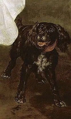 El perro a los pies del caballo.