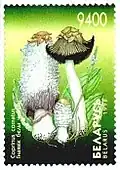 Estampilla de Bielorrusia de 1998 con ilustración de Coprinus comatus