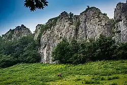 Garate-Santa Barbara