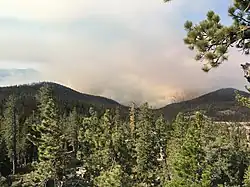 El fuego Lions en el bosque de Inyo, el 24 de junio de 2018.