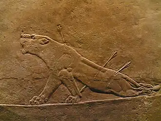 La leona herida (de la cacería de Asurbanipal)