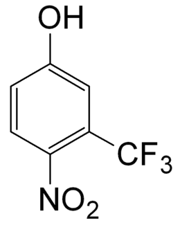 Imagen de la estructura