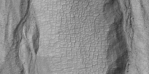 Vista cercana de polígonos cauces cercanos en Ross Cráter, cuando visto por HiRISE bajo HiWish Nota de programa: esto es una ampliación de una imagen anterior.