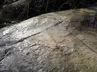 Pulidor de los 48 Arpents, Faÿ