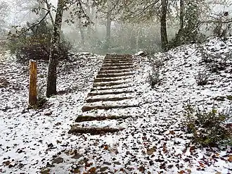 Nieve en Aïn Draham.