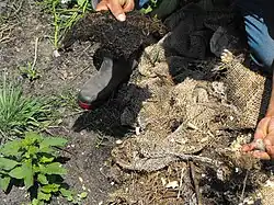 Abono orgánico y lombrices