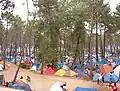 Zona de acampada en el pinar de la playa de Ortigueira