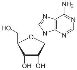 Estructura química de adenosina