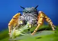 Phidippus mystaceus