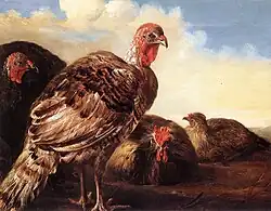 Pavos, de Albert Cuyp.