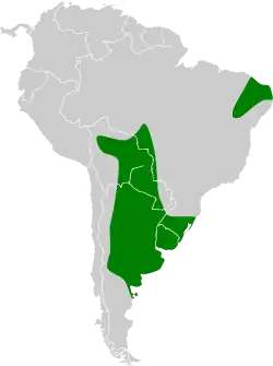 Distribución de este género.