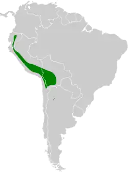 Distribución geográfica del gaucho andino.