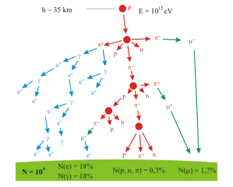 El árbol ramificado que representa la producción de partículas