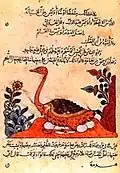 Imagen del Kitab al-Hayawan (Libro de los animales) de Al-Jahiz.