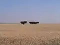 Campos de trigo del Bajo Alentejo