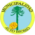 Escudo de Alto Biobío