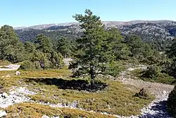 Puebla de San Miguel