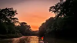 Amanecer en la amazonia Parque Nacional Madidi, Bolivia.