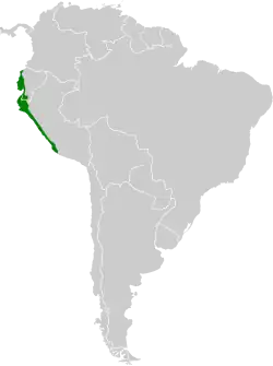 Distribución geográfica de la amazilia costeña