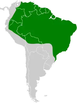 Distribución geográfica de la amazilia listada
