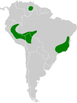Distribución geográfica de la amazilia zafirina