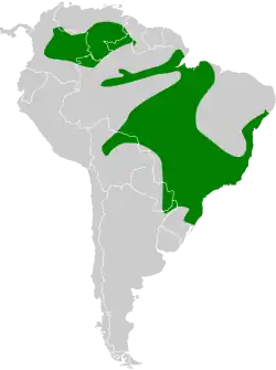 Distribución geográfica de la amazilia versicolor