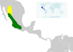 Distribución geográfica del colibrí corona violeta