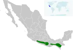 Distribución geográfica del colibrí frente verde (excluyendo R. wagneri)