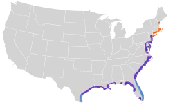 &nbsp;&nbsp;&nbsp;&nbsp;&nbsp;Zona de invernada&nbsp;&nbsp;&nbsp;&nbsp;&nbsp;Zona de cría&nbsp;&nbsp;&nbsp;&nbsp;&nbsp;Todo el año