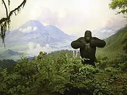 Diorama de los mamíferos.