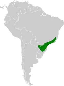 Distribución geográfica del ticotico cejiblanco.