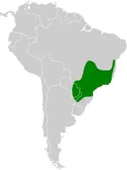 Distribución geográfica del ticotico ocráceo chico.