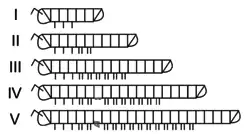 Etapas de desarrollo