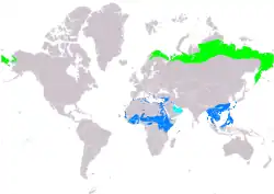 Distribución de Anthus cervinus