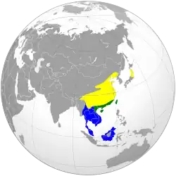 Nidificación Invernada Todo el año