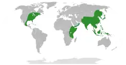 Distribución natural de Arisaema.