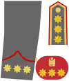 Coronel