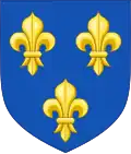 Arms_of_France_(France_Moderne)