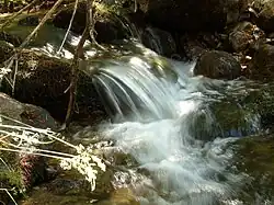 Arroyo de las Corzas