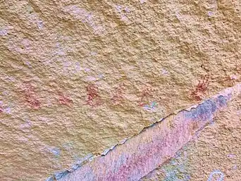 Arte Rupestre - Serie de Manos - Cueva la Higuerilla. Cucurpe Sonora