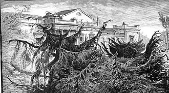 Destrozos en el arbolado junto al Palacio de Vista Alegre, también de las páginas de La Ilustración Española y Americana