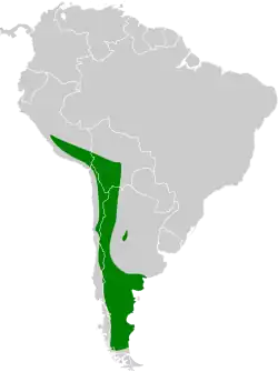 Distribución geográfica del canastero pálido.