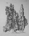 Los cipreses de la Villa d'Este en Tivoli, 1833
